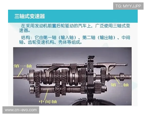 骑车变速五大禁忌助你全面避免损坏整套变速系统的实用指南详解篇 骑车变速五大禁忌助你全面避免损坏整套变速系统的实用指南详解篇