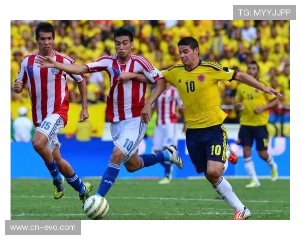 GOGO体育全方位解析体育赛事直播平台优势与发展前景