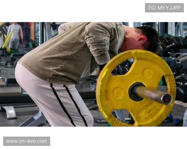 佳博体育引领健康生活方式全面升级运动体验新潮流