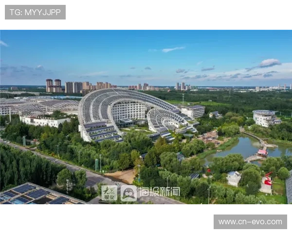 太阳城公司引领绿色能源创新与可持续发展战略探讨