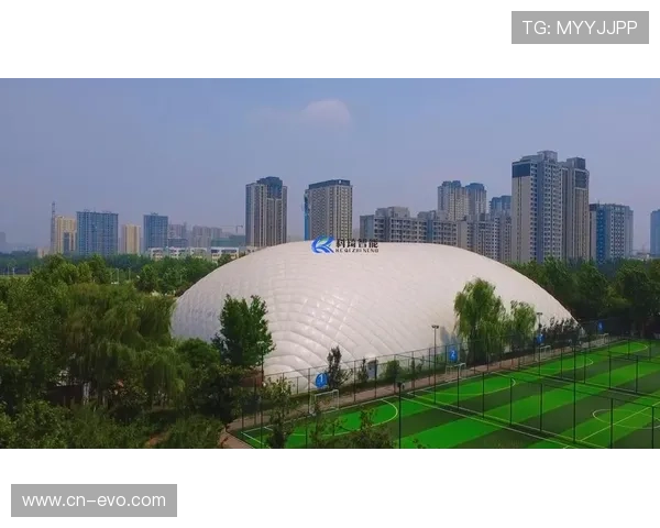 D体育全面升级打造全新赛事体验引领运动迷互动新潮流
